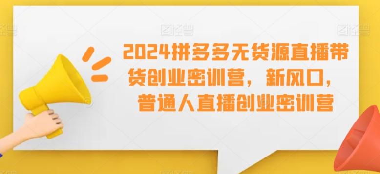 2024拼多多无货源直播带货创业密训营，新风口，普通人直播创业密训营-数码之翼