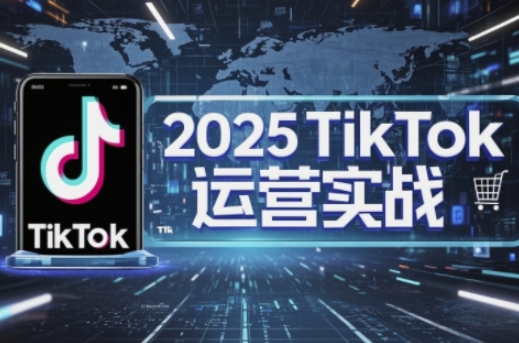 2025TikTok电商运营，掌握TikTok店铺运营核心技巧，实现低成本高转化-数码之翼