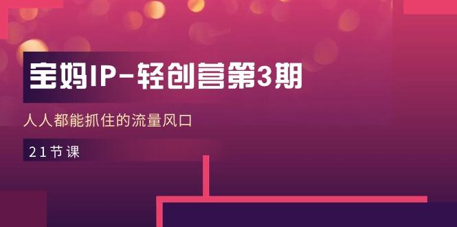 宝妈IP-轻创营第3期，人人都能抓住的流量风口(21节课-数码之翼