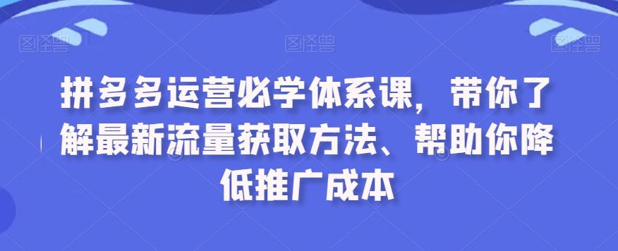 拼多多运营必学体系课，带你了解最新流量获取方法、帮助你降低推广成本-数码之翼