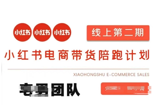 小红书电商带货课2期，月利润20个的小红书电商的有货源，无货源，虚拟产品，付费投流等整套玩法-数码之翼