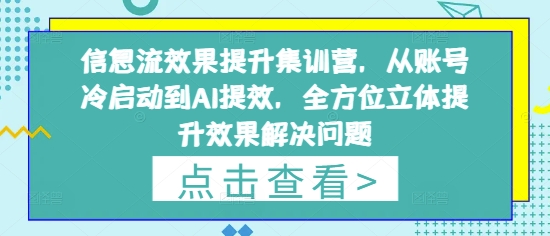 信息流效果提升集训营，从账号冷启动到AI提效，全方位立体提升效果解决问题-数码之翼
