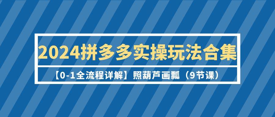 (9559期)2024拼多多实操玩法合集【0-1全流程详解】照葫芦画瓢(9节课)-数码之翼