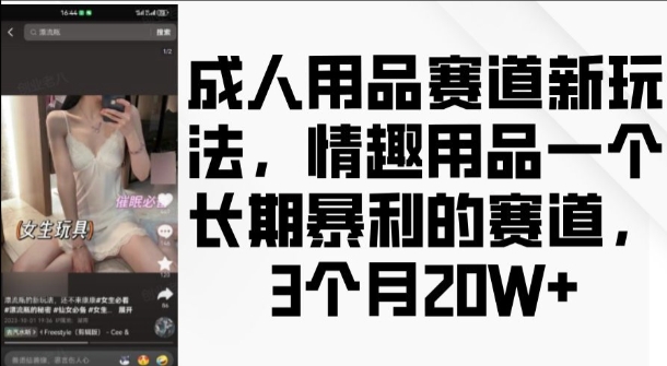 成人用品赛道新玩法，情趣用品一个长期暴利的赛道，3个月收益20个【揭秘】-数码之翼