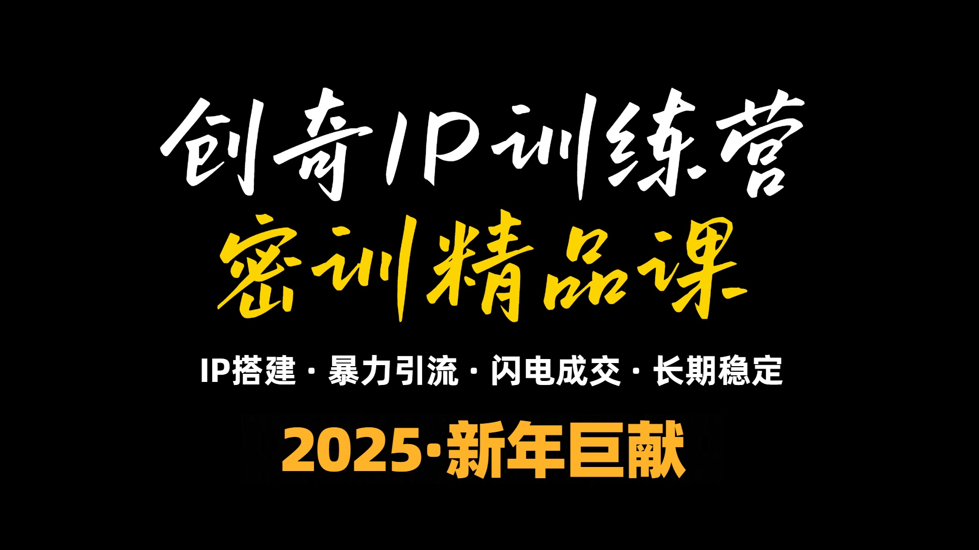 2025年“知识付费IP训练营”小白避坑年赚百万，暴力引流，闪电成交-数码之翼