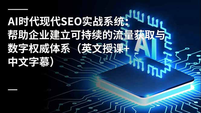 AI时代现代SEO实战系统：帮助企业建立可持续的流量获取与数字权威体系(英文授课+中文字幕-数码之翼