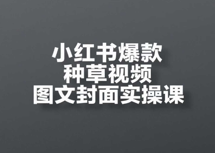 小红书爆款种草视频图文封面实操课，​开店、选品、引流、变现全流程-数码之翼