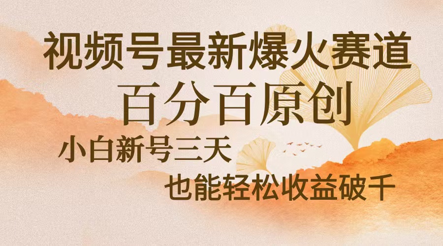 视频号最新爆火赛道，中老年粉深信不疑，百分百原创，新号三天收益轻松…-数码之翼