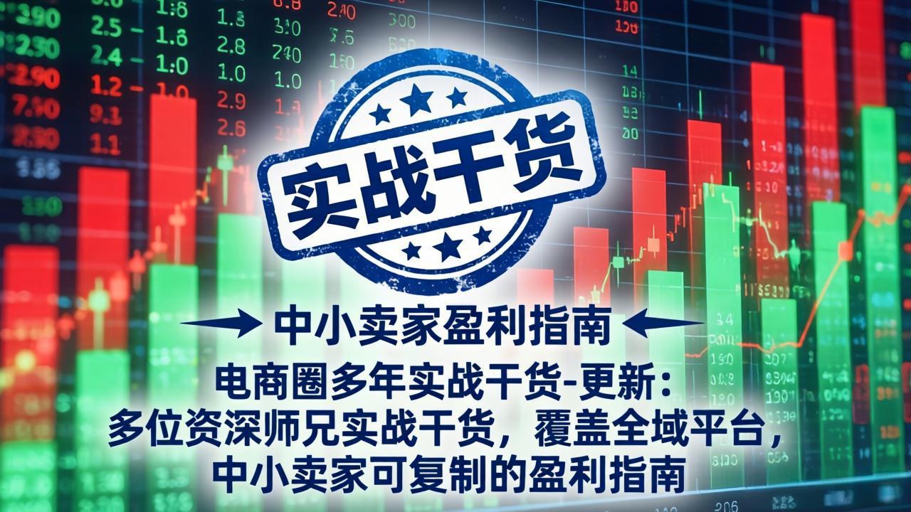 电商圈多年实战干货-更新4月：多位资深师兄实战干货，覆盖全域平台，中小卖家可复制的盈利指南-数码之翼