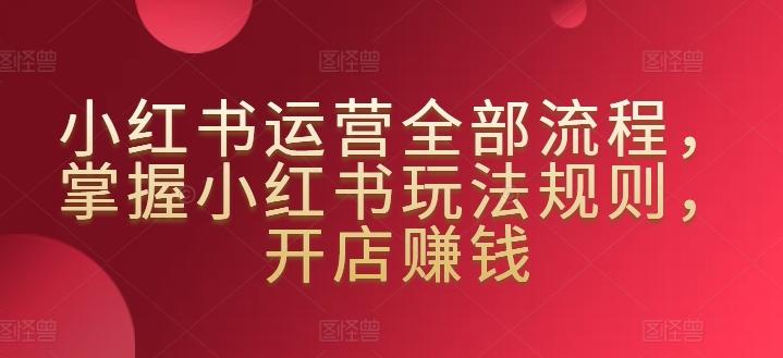 小红书运营全部流程,掌握小红书玩法规则,开店赚钱-数码之翼