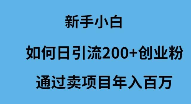 (9668期)新手小白如何日引流200+创业粉通过卖项目年入百万-数码之翼