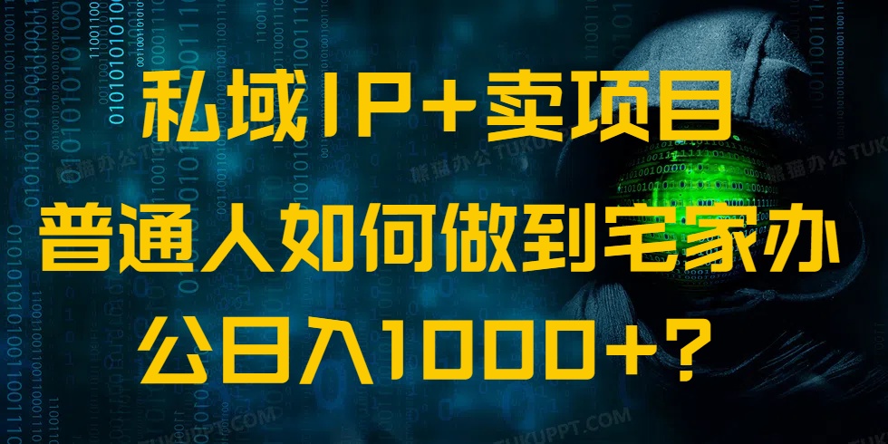 私域IP+卖项目，普通人如何做到宅家办公实现日入1000+-数码之翼