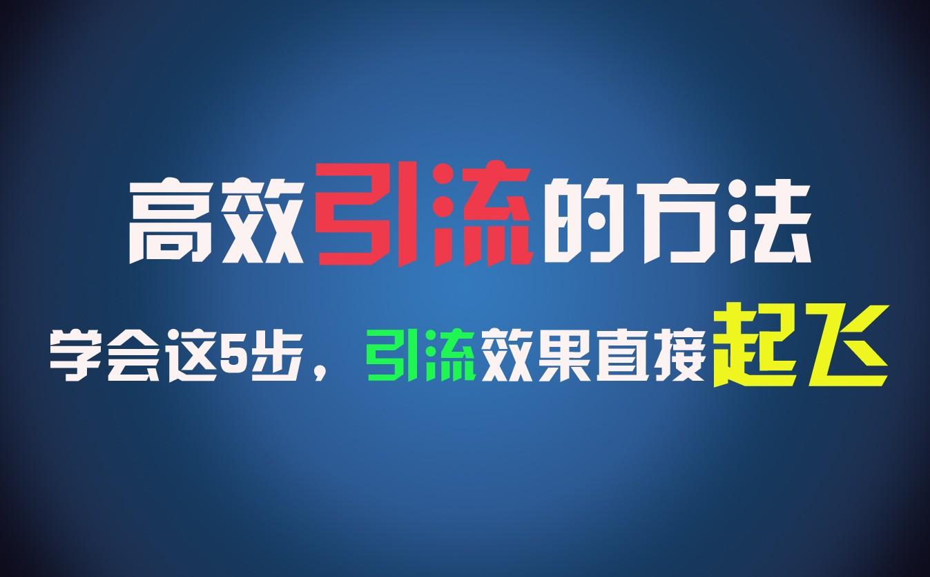 高效引流的方法，可以帮助你日引300+创业粉，一年轻松收入30万，比打工强太多！-数码之翼