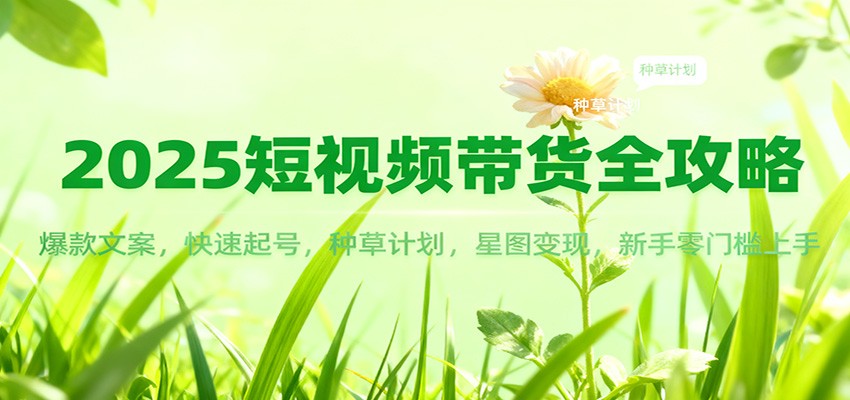 2025短视频带货全攻略：爆款文案，快速起号，种草计划，星图变现，新手零门槛上手-数码之翼