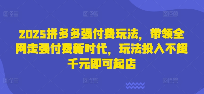 2025拼多多强付费玩法，带领全网走强付费新时代，玩法投入不超千元即可起店-数码之翼