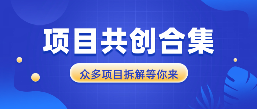项目共创合集，从0-1全过程拆解，让你迅速找到适合自已的项目-数码之翼