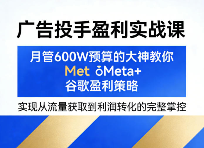 广告投手盈利实战课，月管600W预算的大神教你Meta+谷歌盈利策略，实现从流量获取到利润转化的完整掌控-数码之翼