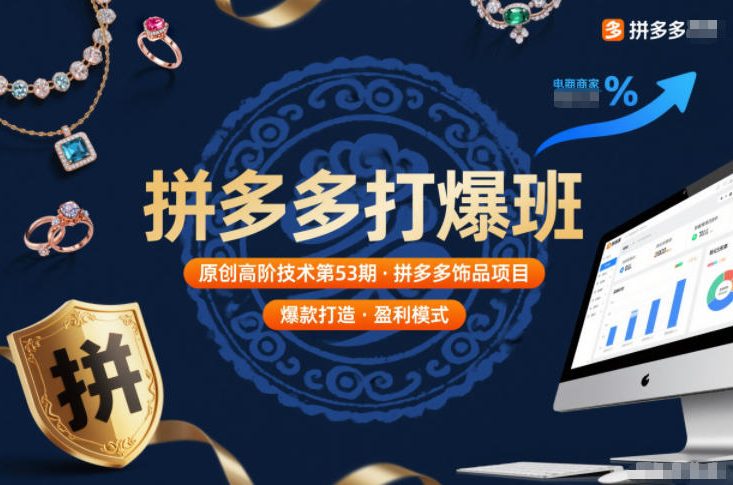 拼多多打爆班原创高阶技术第53期,拼多多饰品项目-数码之翼