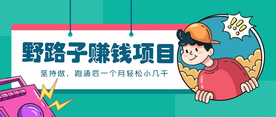 一个人就能操作的野路子赚钱项目,零成本零门槛坚持做,跑通后一个月小几千!-数码之翼