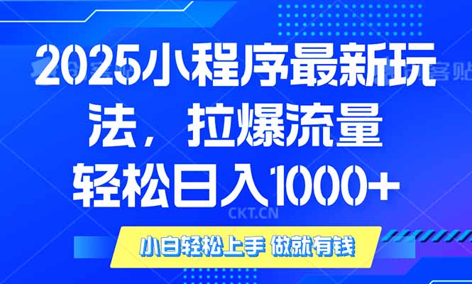 2025年小程序最新玩法，流量直接拉爆，单日稳定变现1000+-数码之翼