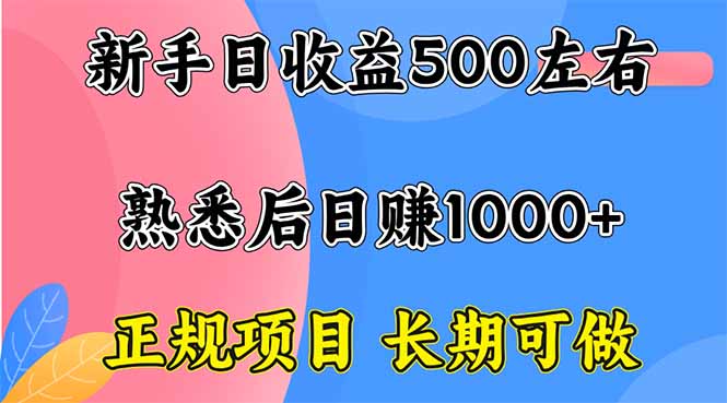 新手日收益500+ 正规项目 长期可做-数码之翼