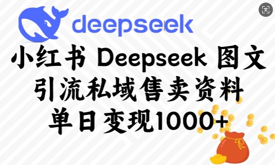 小红书Deepseek图文引流私域售卖资料，单日变现多张-数码之翼