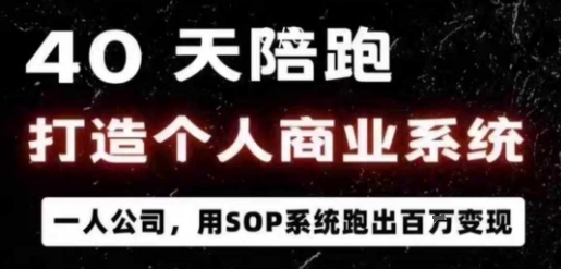 40天陪跑打造个人商业系统，一人公司，用SOP系统跑出百W变现-数码之翼