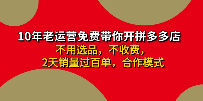 拼多多 最新合作开店日收4000+两天销量过百单，无学费、老运营代操作、...-数码之翼