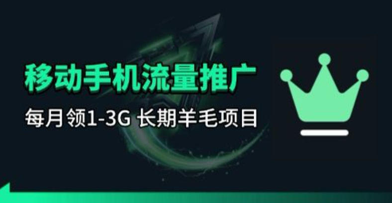 手机流量领取推广_每月一轮,刚需类的长期项目-数码之翼