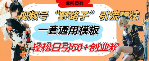 视频号“野路子”玩法，评论区疯狂截流，一套模板单日单号引流50+创业粉-数码之翼