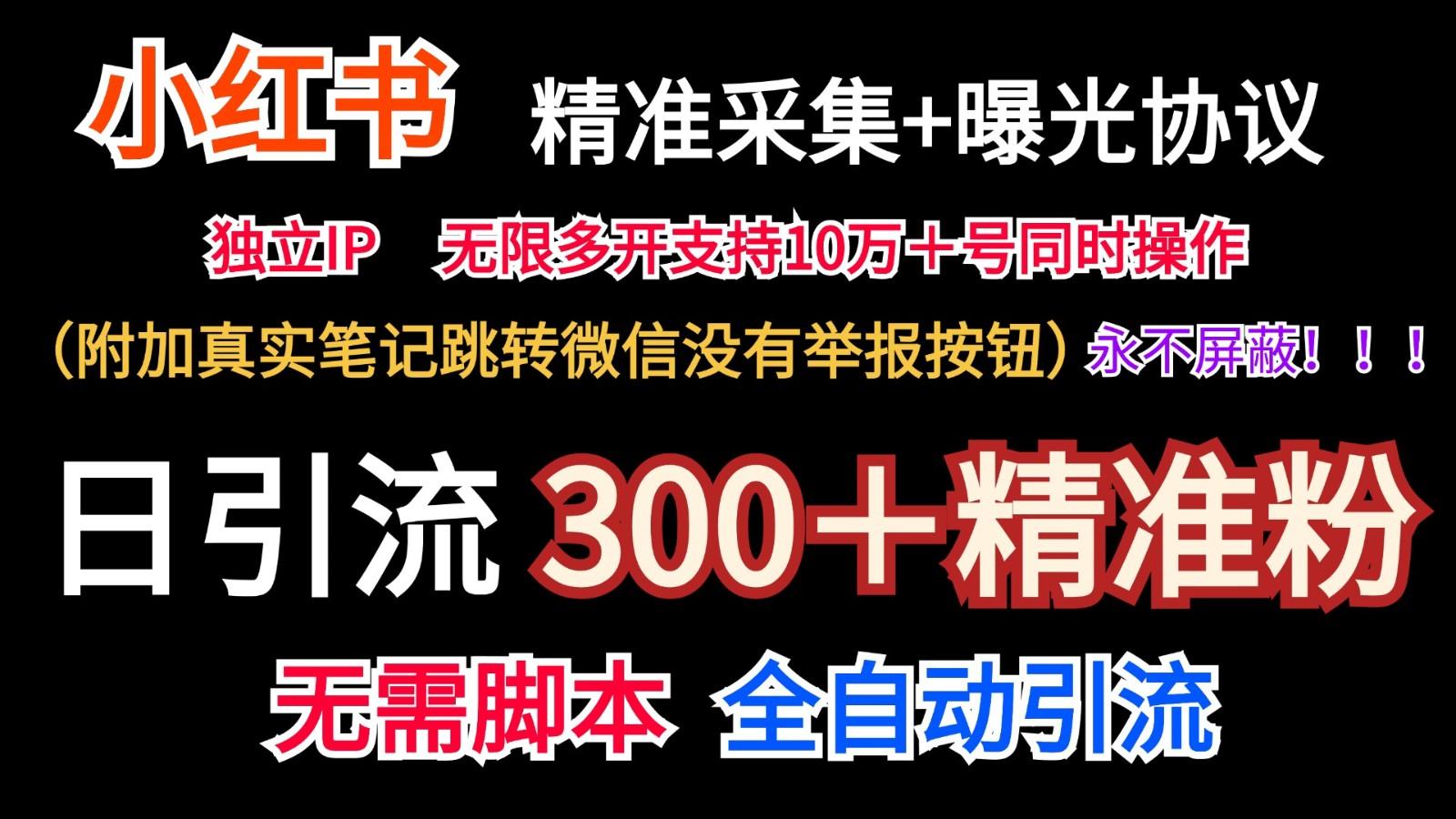 小红薯精准采集＋无限曝光＋真实笔记跳转微信，永不屏蔽(日引300＋精准粉)-数码之翼