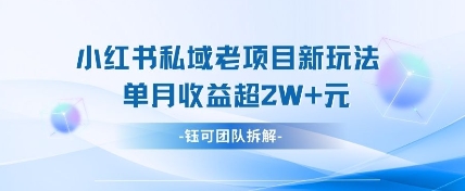 小红书私域项目新玩法，单月变现过W+-数码之翼