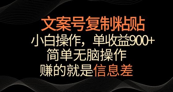 文案号掘金，简单复制粘贴，小白操作，单作品收益900+【揭秘】-数码之翼