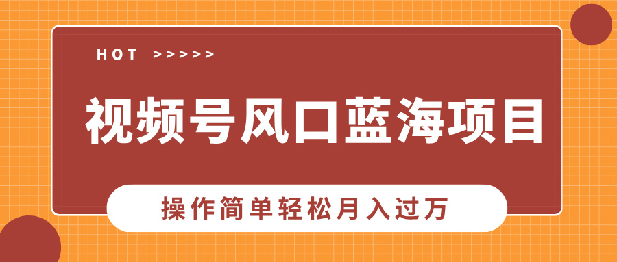 视频号风口蓝海项目，中老年人的流量密码，操作简单轻松月入过万-数码之翼