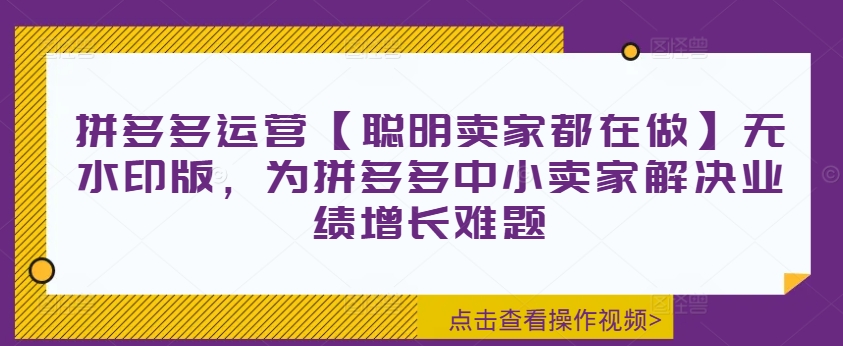 拼多多运营【聪明卖家都在做】无水印版,为拼多多中小卖家解决业绩增长难题-数码之翼