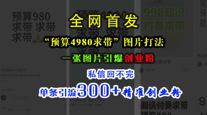小红书“预算4980带我飞”图片打法，一张图片引爆创业粉，私信回不完，单条引流300+精准创业粉-数码之翼