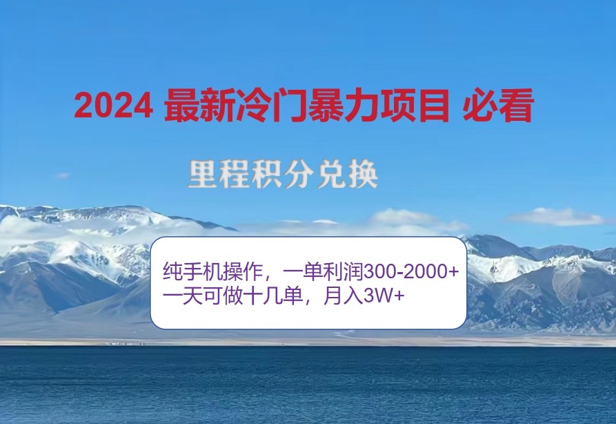 2024惊爆冷门暴利，里程积分最新玩法，高爆发期，一单300+—2000+-数码之翼