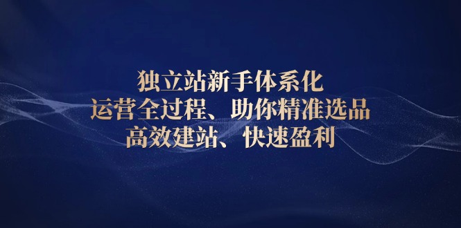 独立站新手体系化 运营全过程，助你精准选品、高效建站、快速盈利-数码之翼