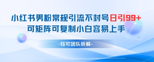小红书男粉常规引流不封号日引99+变现简单 可矩阵可复制小白容易上手-数码之翼