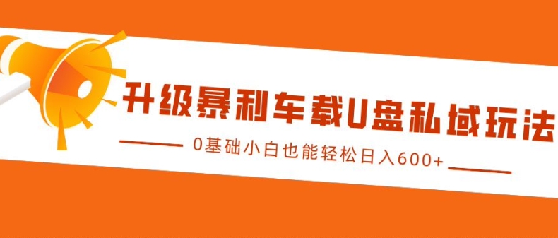 升级暴利车载U盘私域玩法，0基础小白也能轻松日入多张【揭秘】-数码之翼