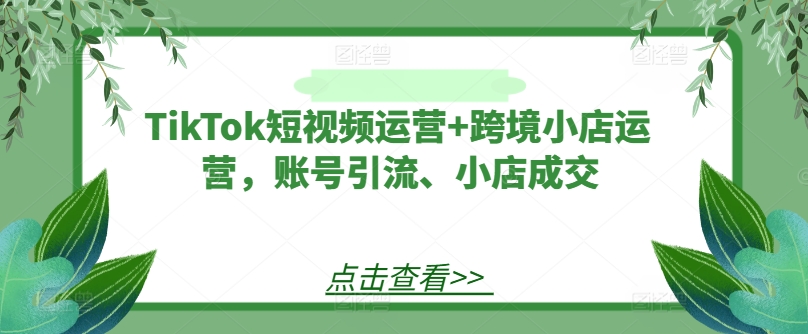 TikTok短视频运营+跨境小店运营,账号引流、小店成交-数码之翼