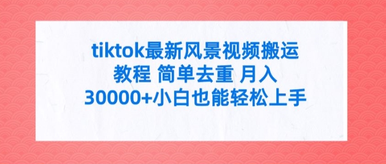 tiktok最新风景视频搬运教程 简单去重 月入3W+小白也能轻松上手【揭秘】-数码之翼