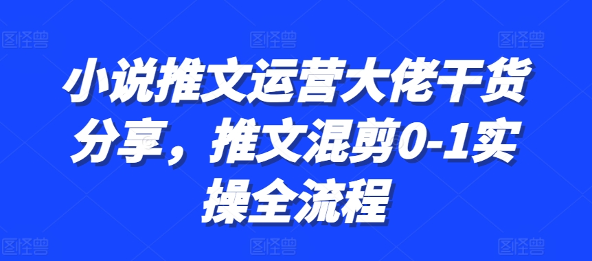小说推文运营大佬干货分享,推文混剪0-1实操全流程-数码之翼
