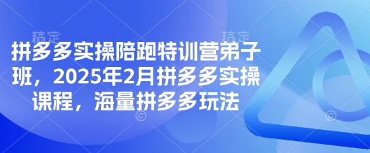 拼多多实操陪跑特训营弟子班，2025年2月拼多多实操课程，海量拼多多玩法-数码之翼
