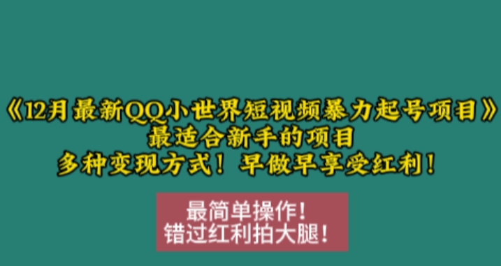 12月最新QQ小世界短视频暴力起号项目，最适合新手的项目，多种变现方式-数码之翼