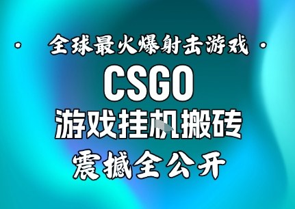 【年底大揭秘】基于全球最火爆的射击CSGO游戏挂G搬砖，日入5张+，震撼公开-数码之翼