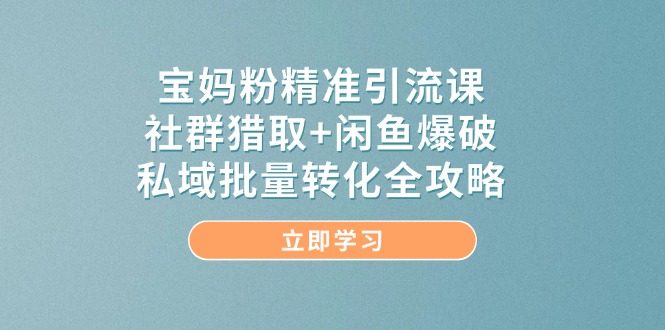 宝妈粉精准引流课，社群猎取+闲鱼爆破，私域批量转化全攻略-数码之翼