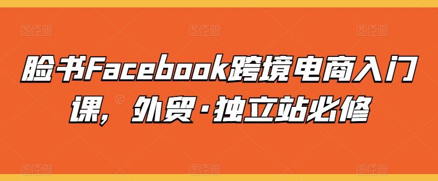 脸书Facebook跨境电商入门课,外贸·独立站必修-数码之翼