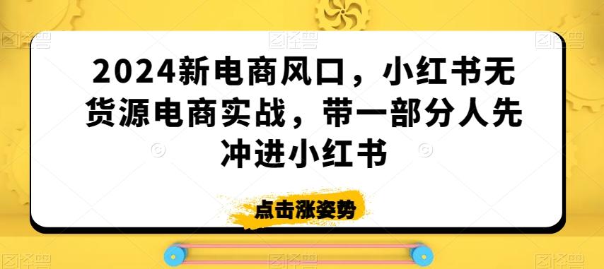 2024新电商风口，小红书无货源电商实战，带一部分人先冲进小红书-数码之翼