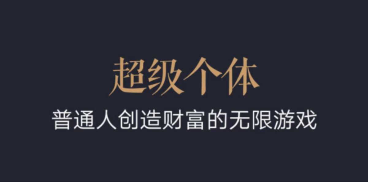 超级个体：2024-2025翻盘指南，普通人创造财富的无限游戏-数码之翼